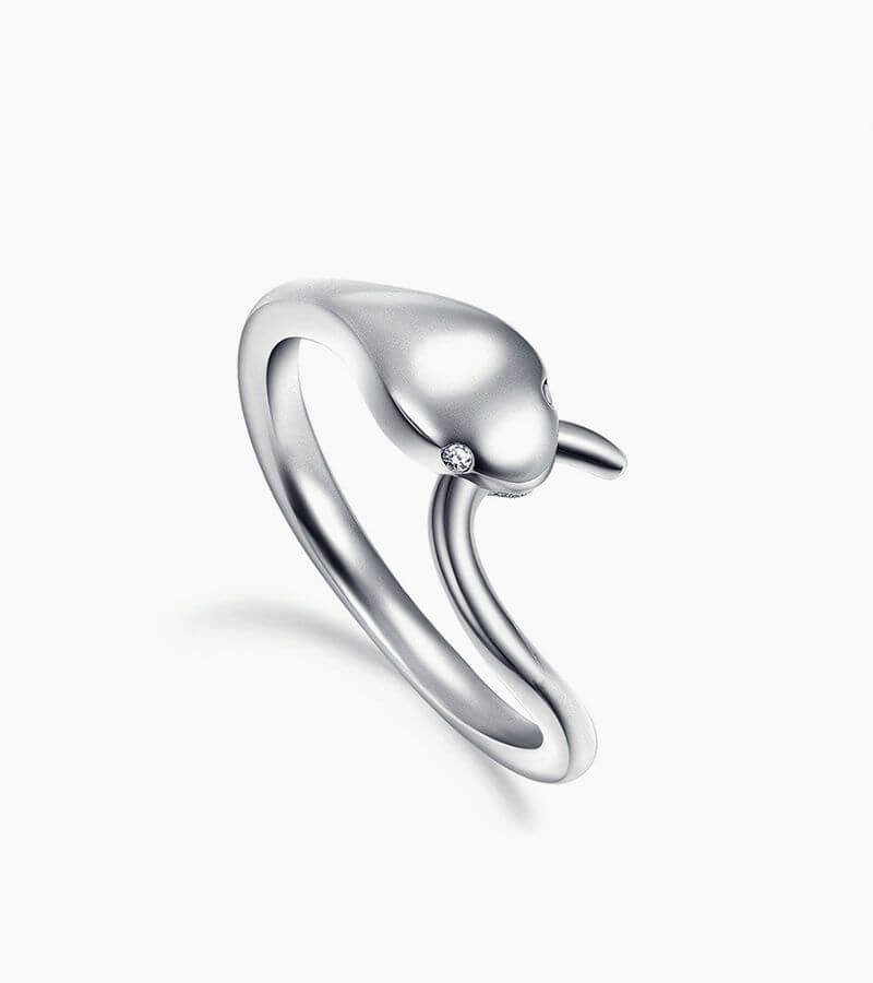 Fashion Silver Ring